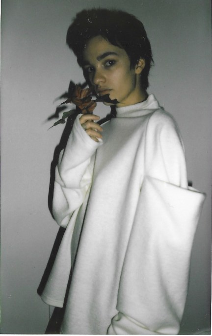 Christina Seewald, Mode, gesellschafltiche, Theorien