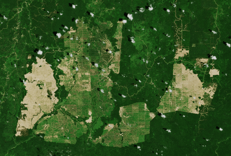 237_F_Palm_oil_plantations_ESA_sc (c) Copernicus Sentinel data (2019), ESA, CC BY-SA 3.0 IGO