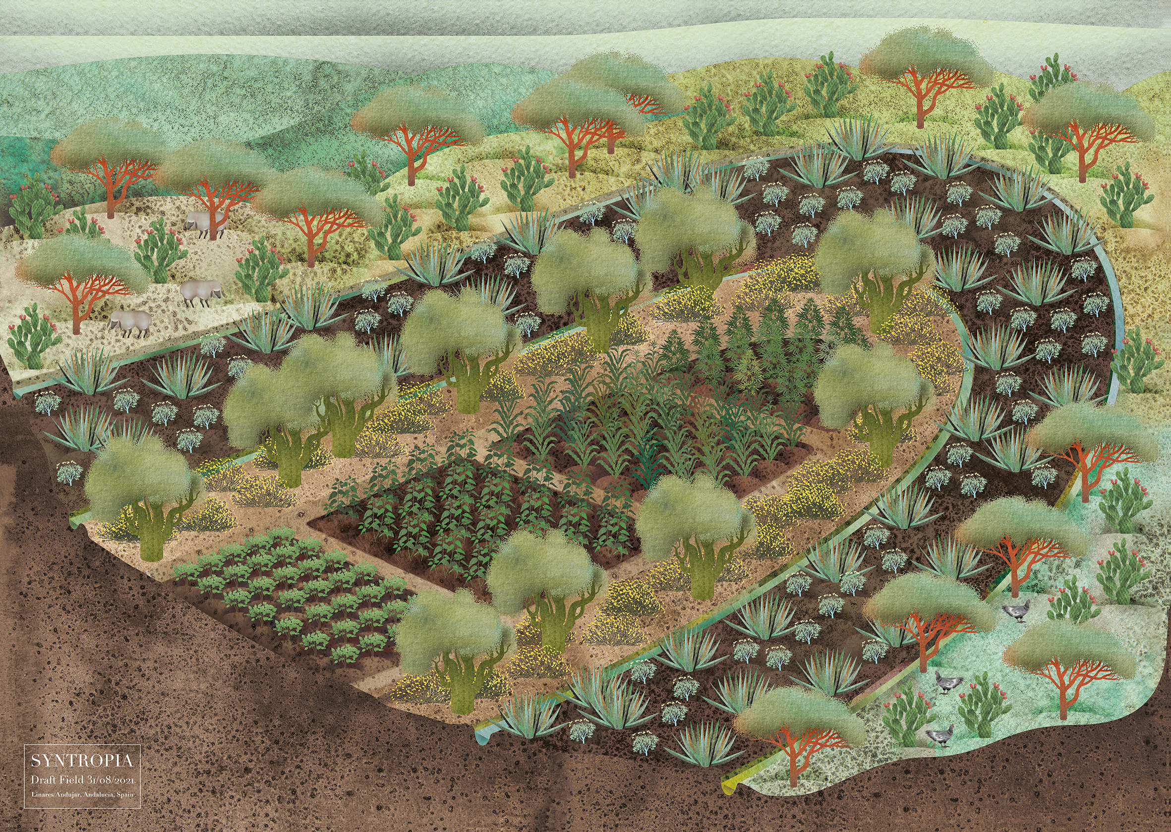 Aus dem Re-Fream Projekt Syntropia - Illustration des theoretischen Felds (c) Anastasija Mass
