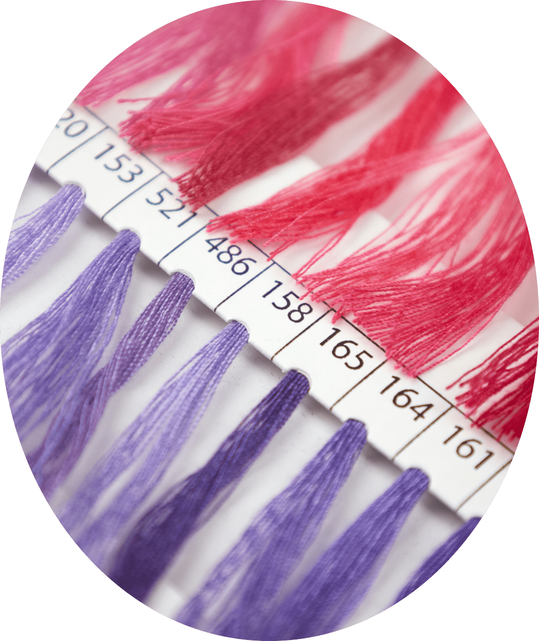 Ökologische Farbstoffe für Textilien aus Bakterien